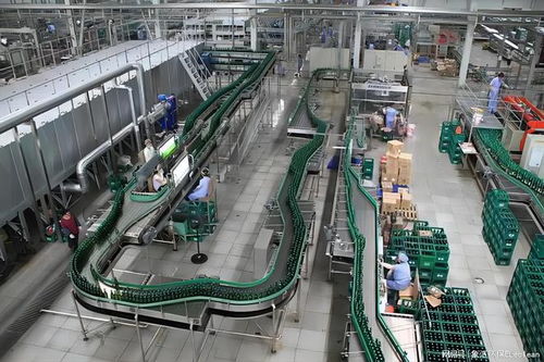 啤酒廠粉塵治理 真空負壓除塵設備